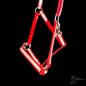 Preview: Reflektierendes Halfter (TH83)